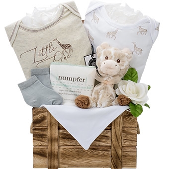 Embrace baby gift basket